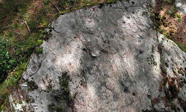 Il masso inciso della Maleda Alta