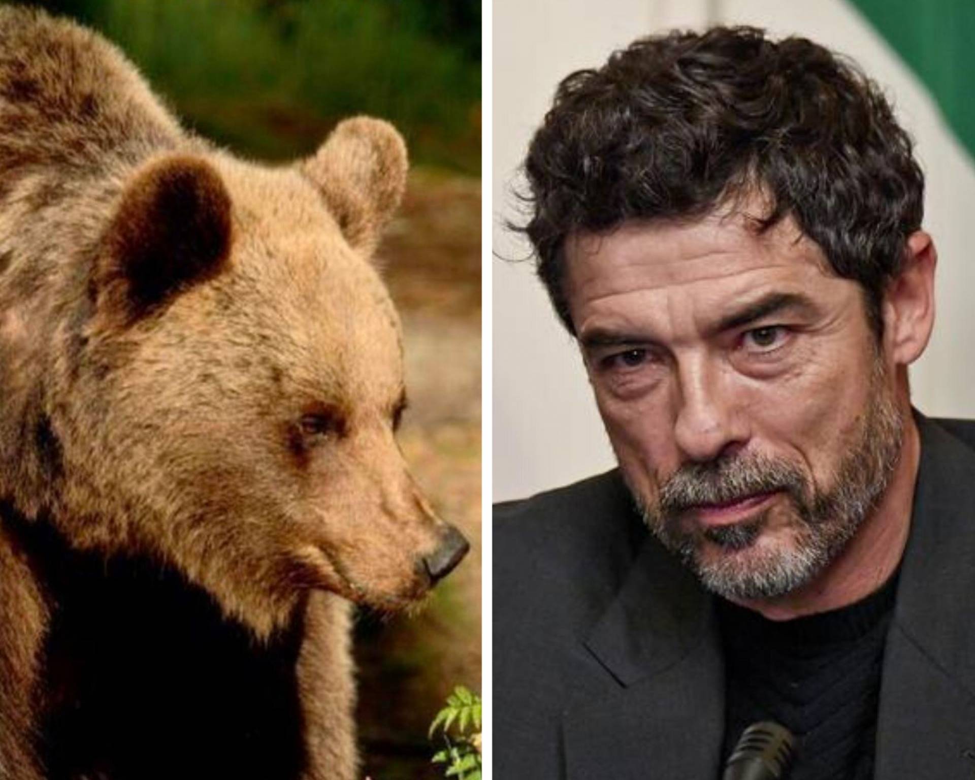 Orso del Peller: Gassmann, dovete vergognarvi