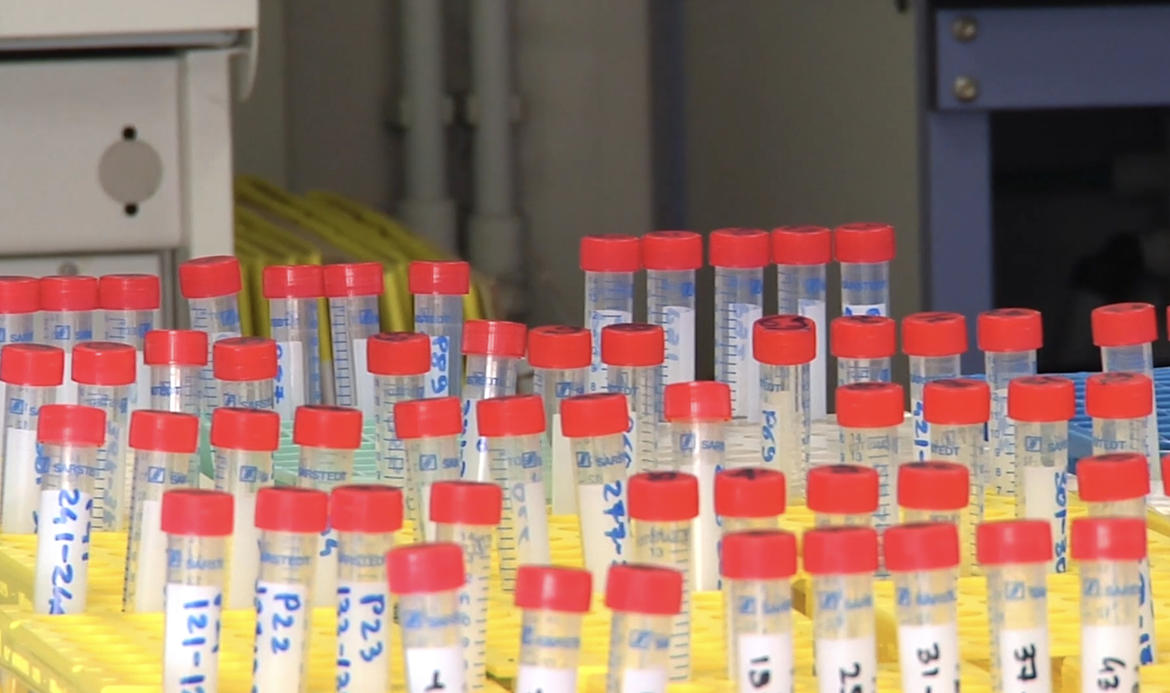 In Trentino 266 nuovi casi e 7 deceduti