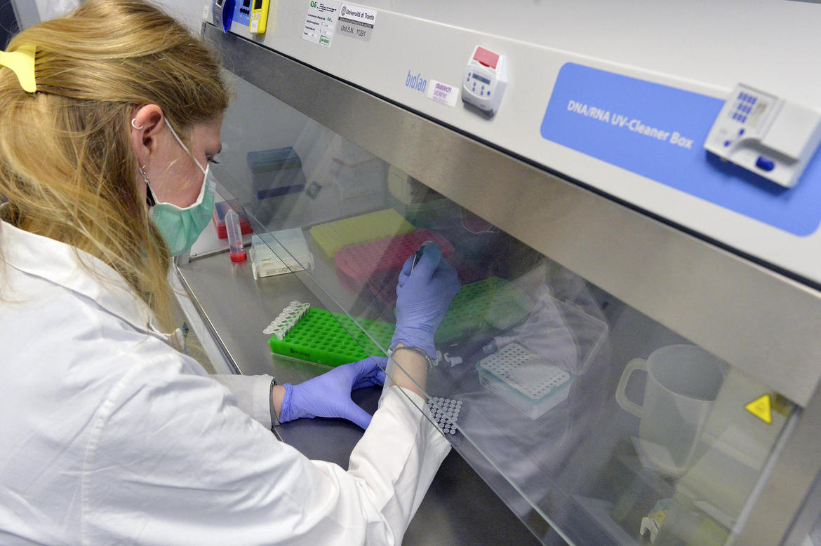 Altri 7 decessi in Trentino