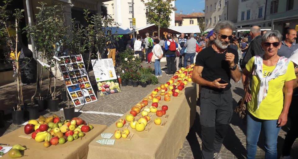L'autunno senza sagre colpisce 3 italiani su 4