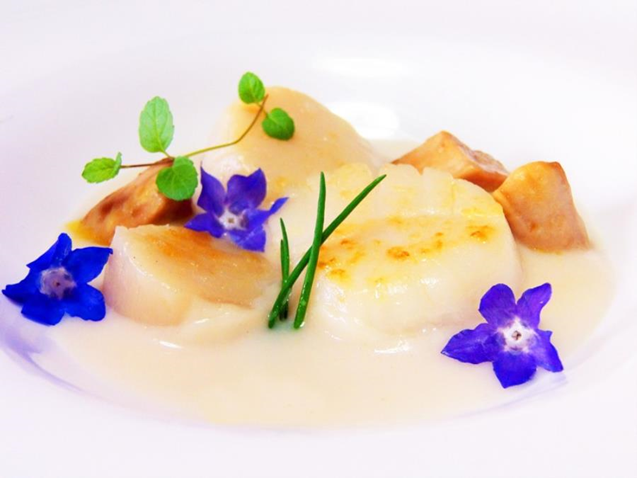 Perle di capesante scottate su vellutata di cavolfiore bianco