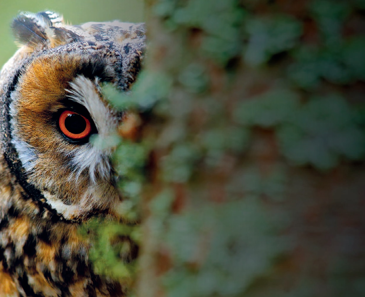 Zigià r come "n bègel 