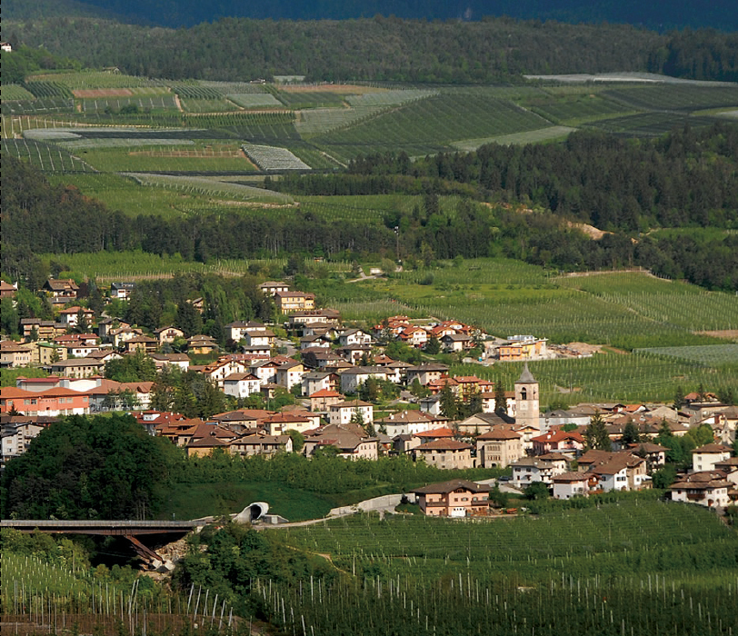Una nuova giunta per Predaia