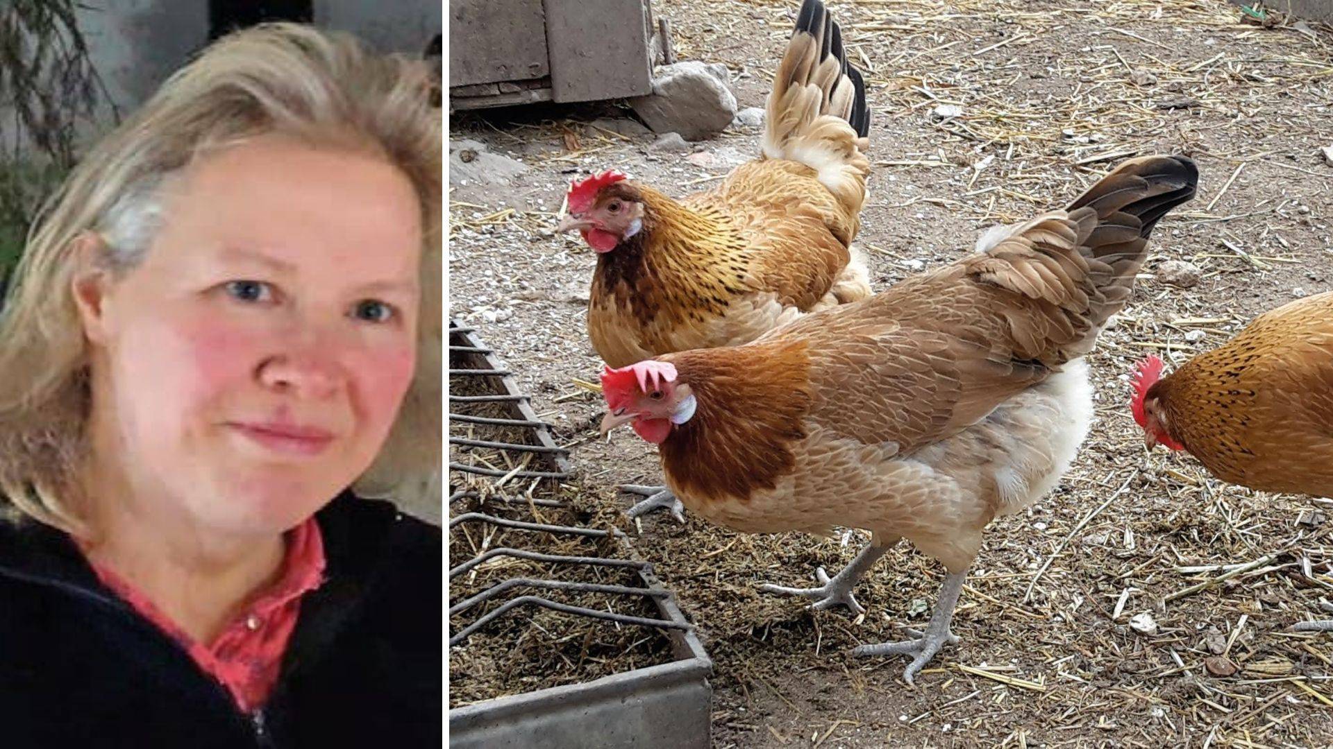 Alla scoperta dell"ultima gallina del vecchio Tirolo