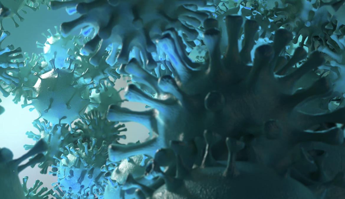 Tre nuovi casi in Trentino