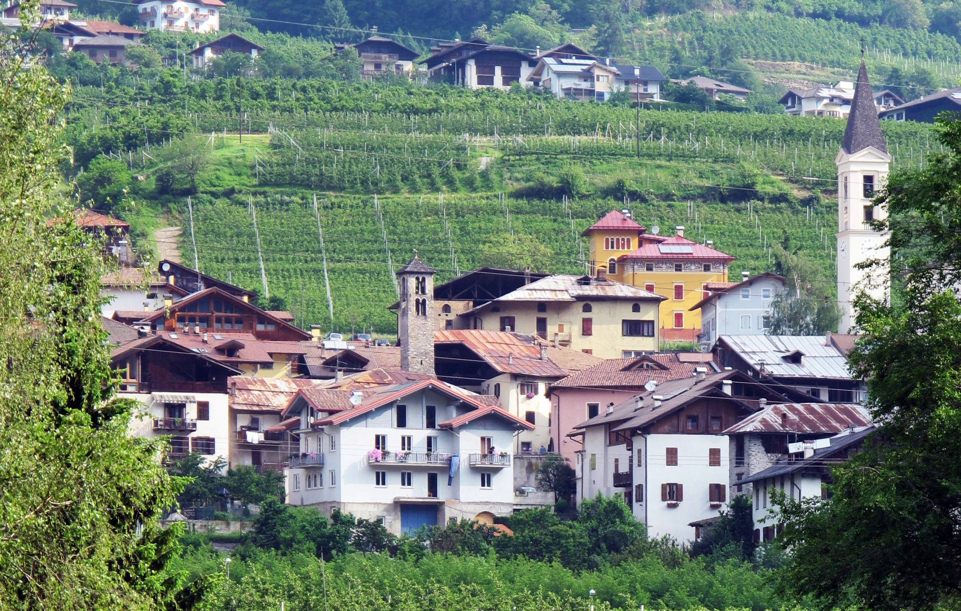 Maini sindaco, Ghirardini vice