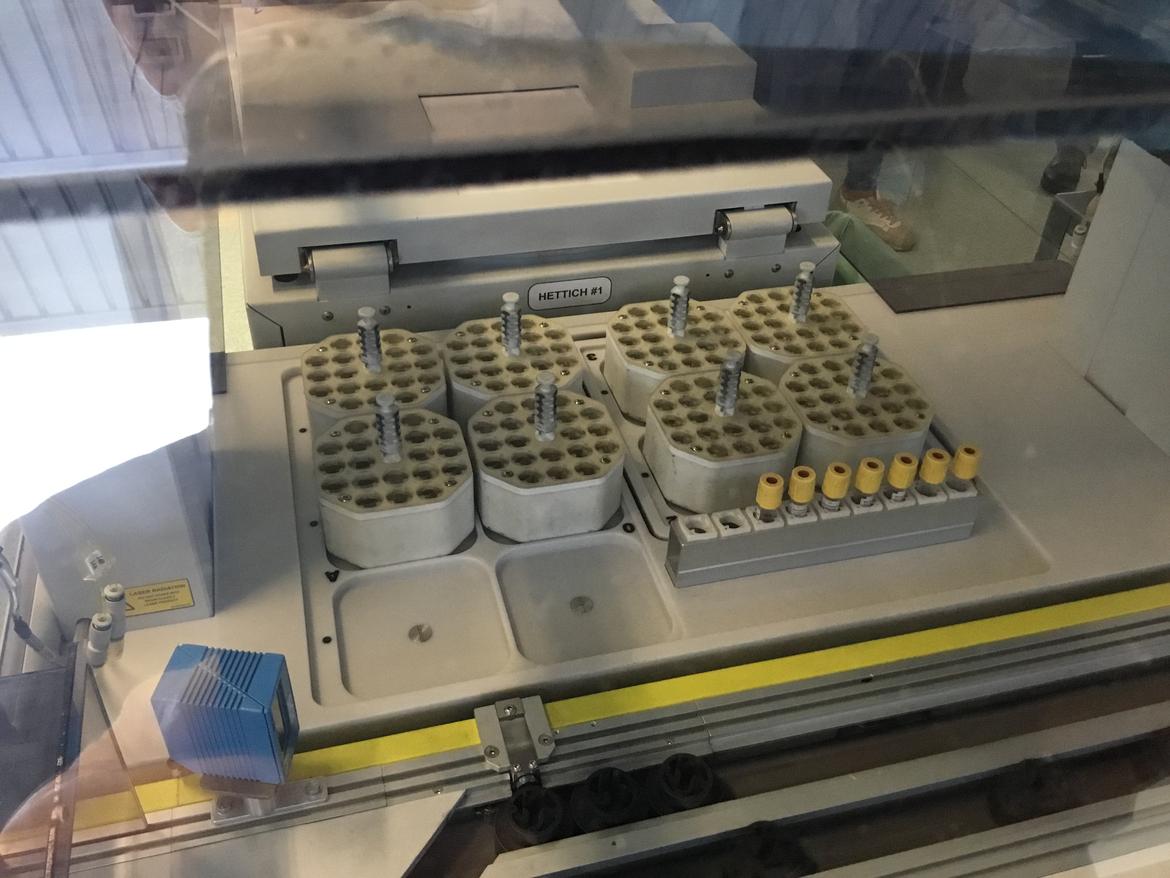 Nuovi casi a Borgo d'Anaunia, Campodenno, Livo