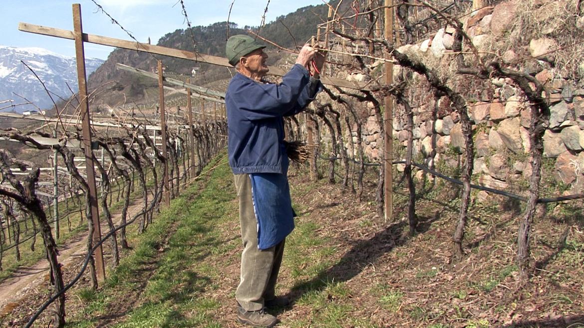 Il Trento Film Festival c'&egrave;: dal 27 agosto al 2 settembre