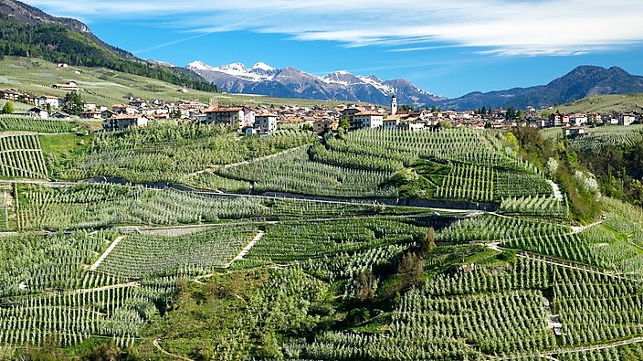 Raccolte 12.848 firme per il Bio Distretto Trentino