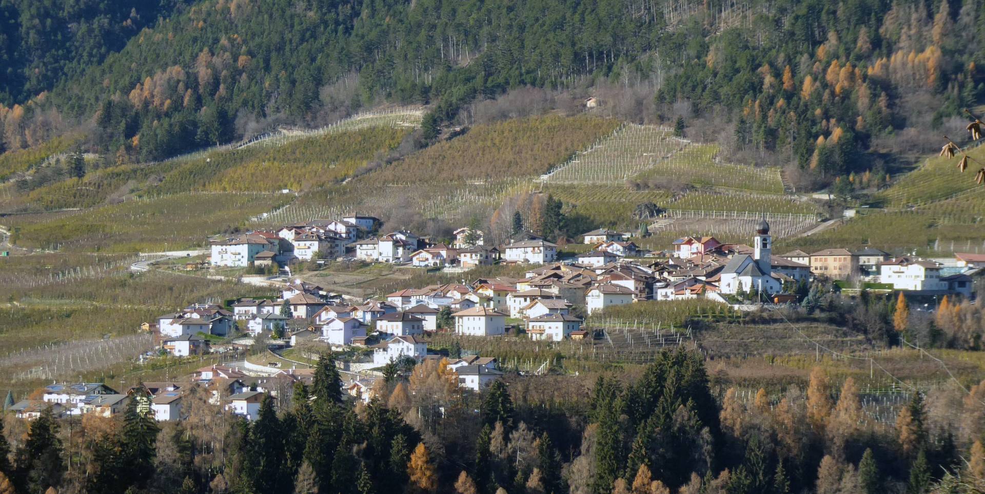 Quattro liste per 559 abitanti