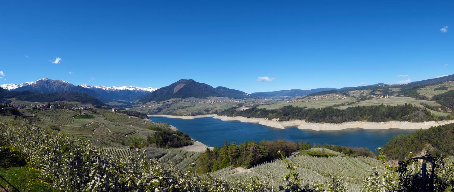 Oltre 800 milioni per la ripartenza post Covid-19