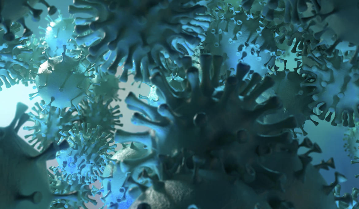 Coronavirus: oggi zero positivi