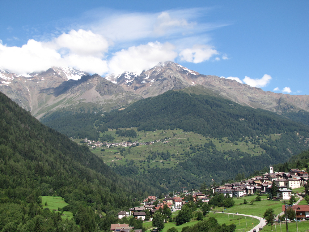 Val di Peio, un boscaiolo ferito da una pianta