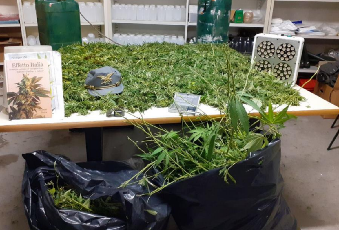 In Val di Non cresce proprio di tutto