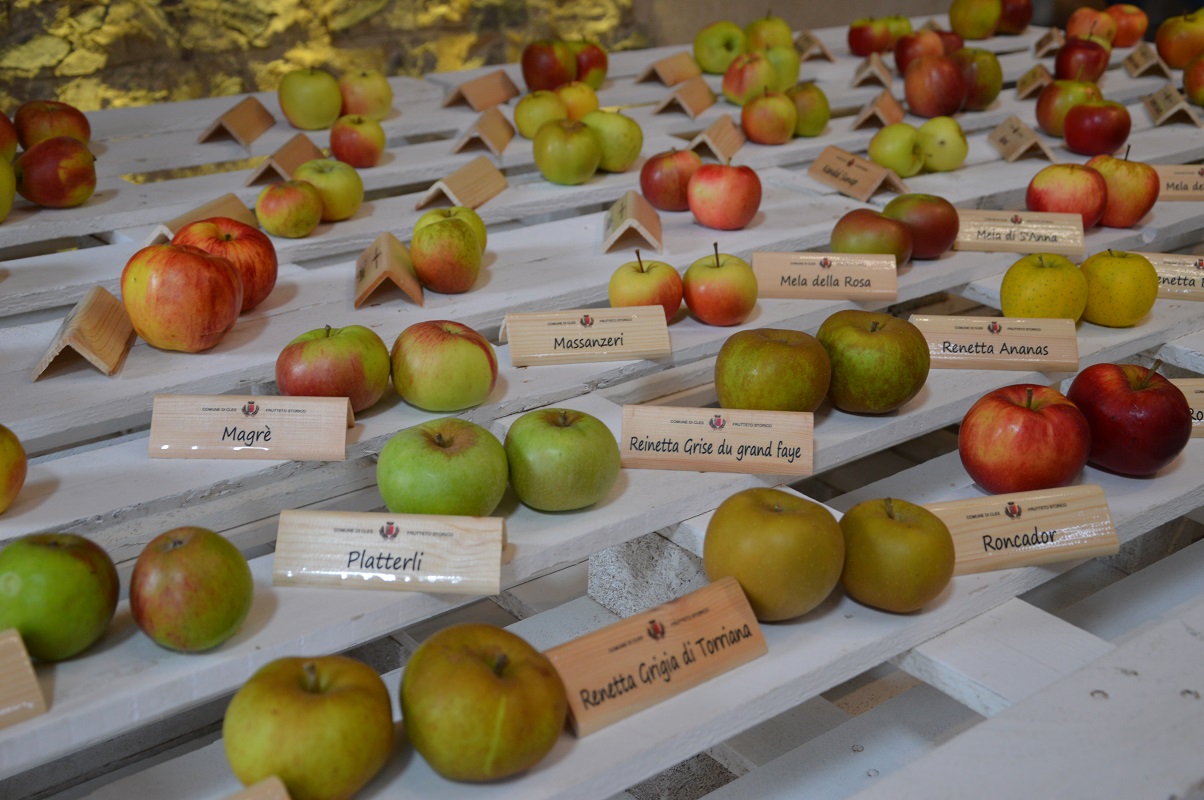 Pomaria &egrave; on the road