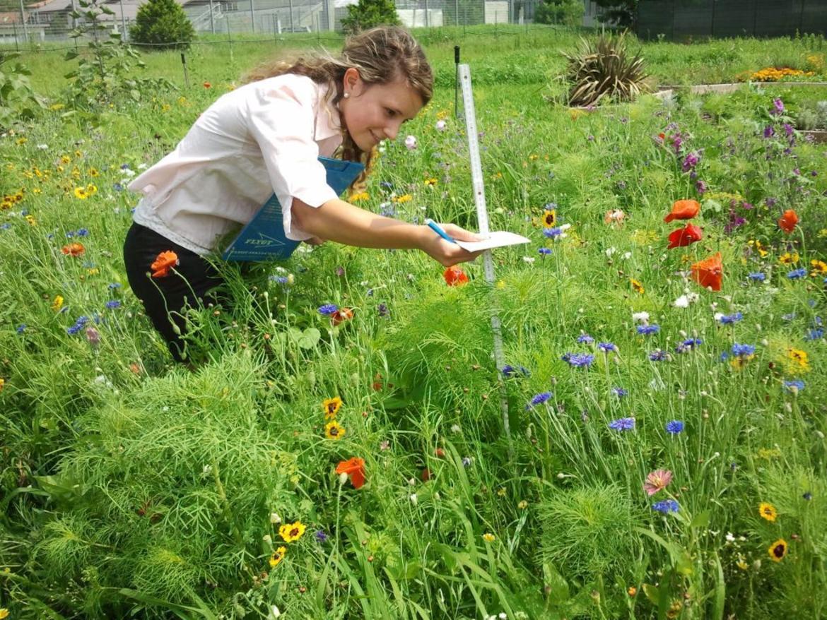 Manutentore del verde urbano, aperte le iscrizioni al corso FEM
