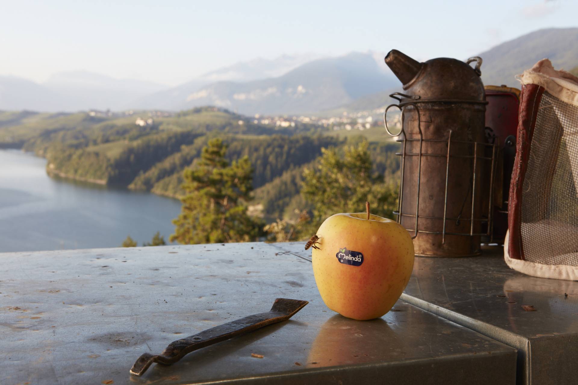 Il valore di una autentica sostenibilit&agrave; 