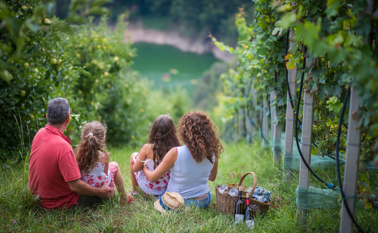 L"agricoltura italiana si conferma la pi&ugrave; "verde"
