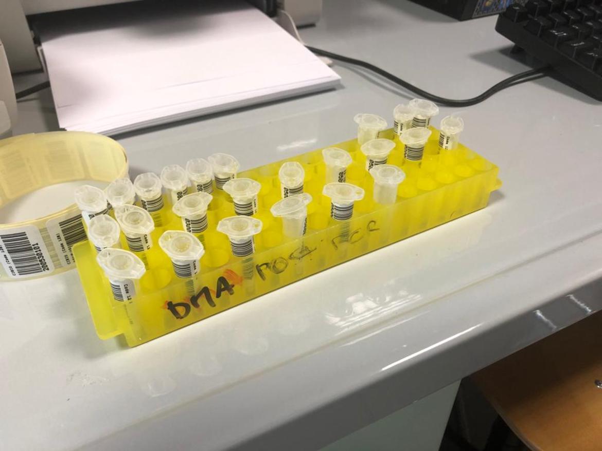 Fugatti: risorse economiche anche a fondo perduto