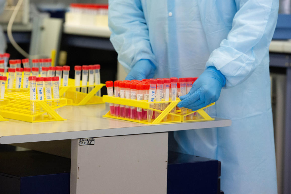 Nelle valli del Noce 24 nuovi casi