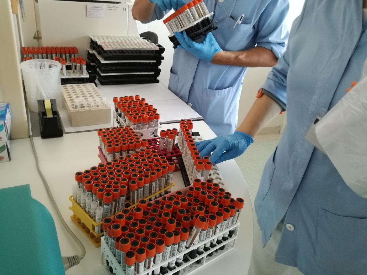 Fugatti: non &egrave; un liberi tutti