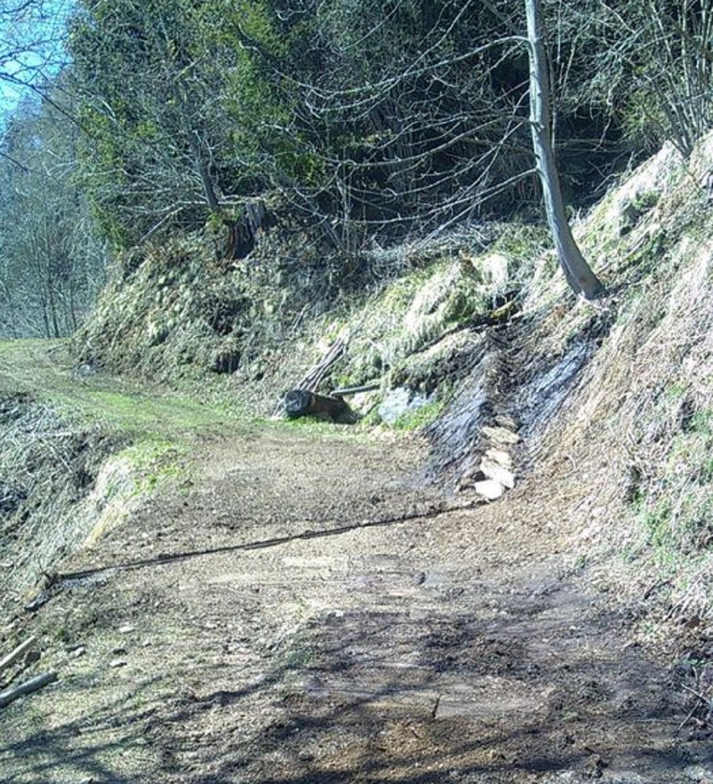 Sistemata la strada forestale Mareggi Salar