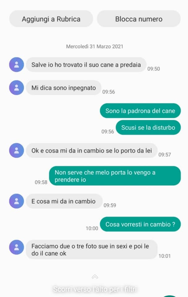 Cerca il cane, subisce un ricatto sessuale