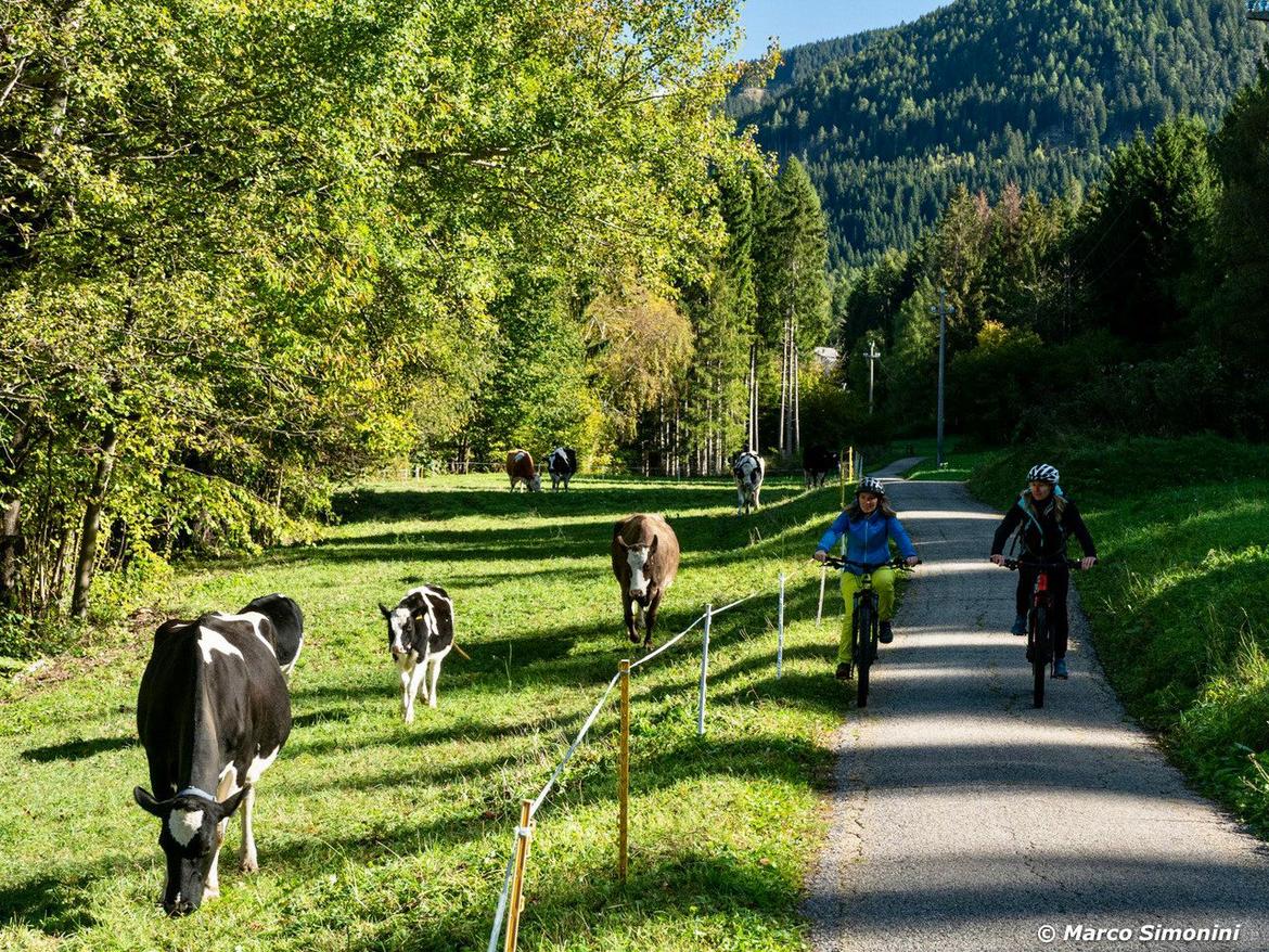 Il turismo incontra l"agricoltura: il concorso dell"Euregio