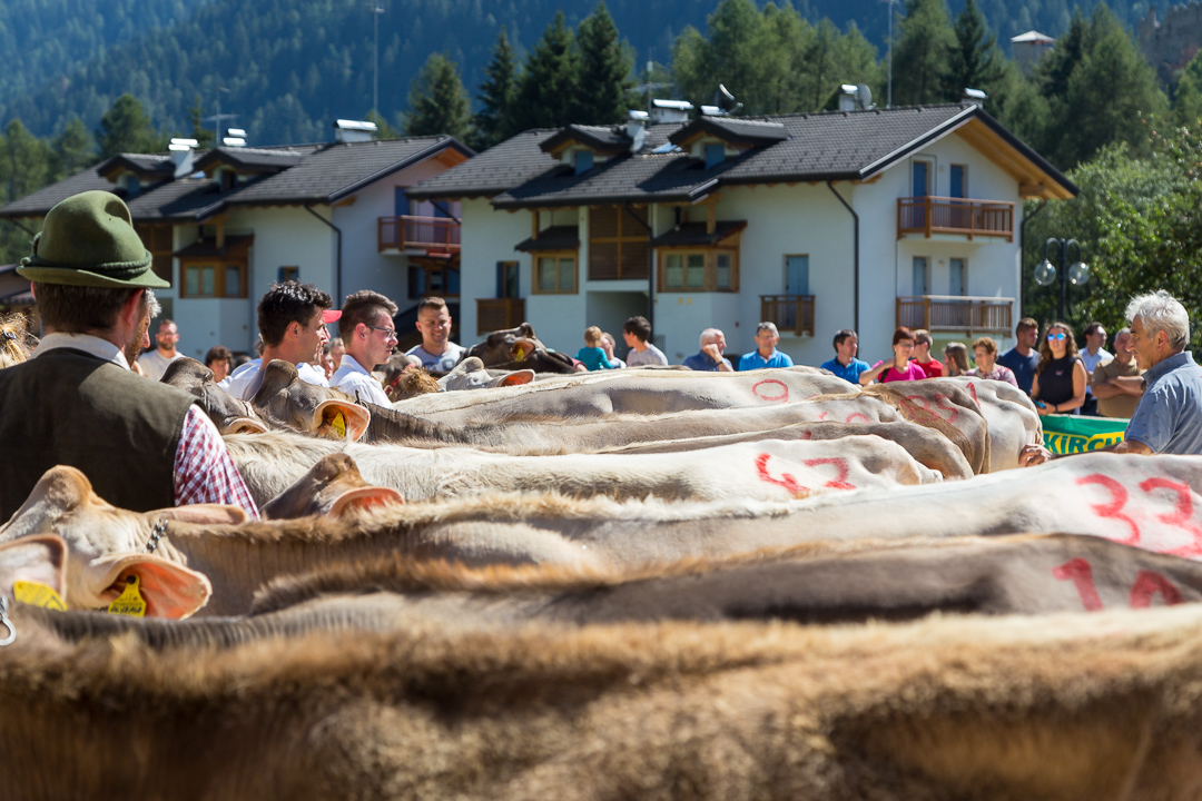La Val di Sole elegge la pi&ugrave; bella
