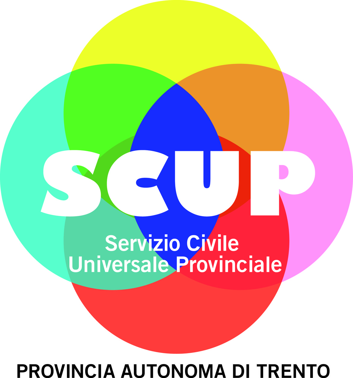 Il servizio civile in assemblea