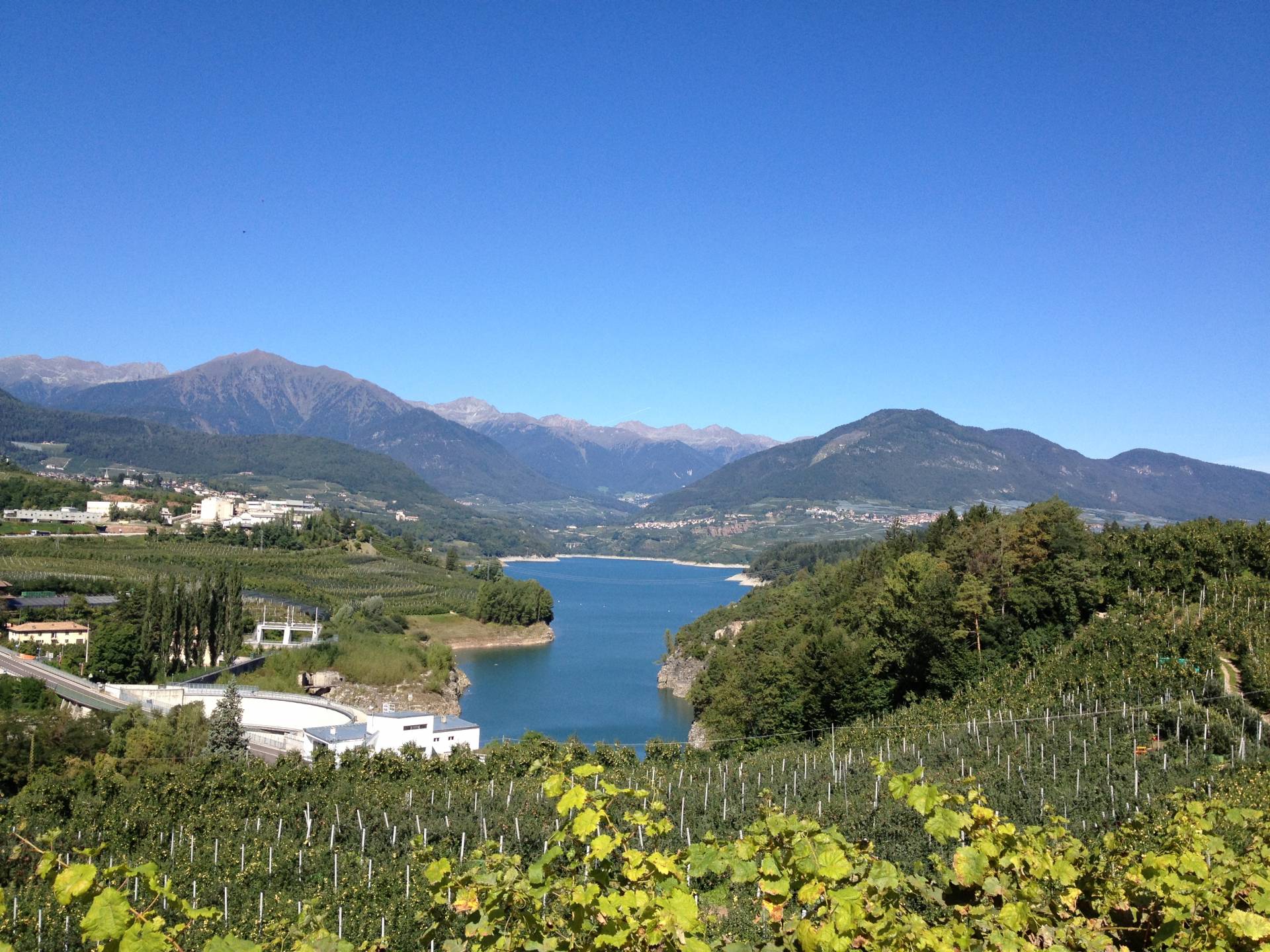 «Val di Sole dacci l"acqua»