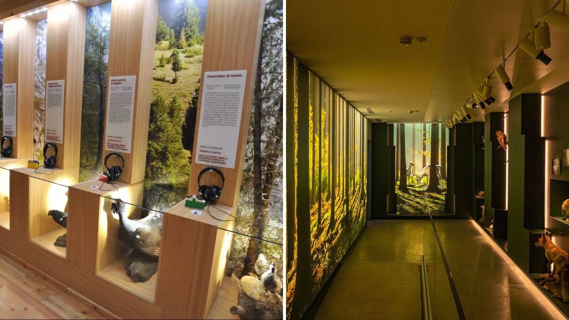 Alla scoperta delle meraviglie del Parco