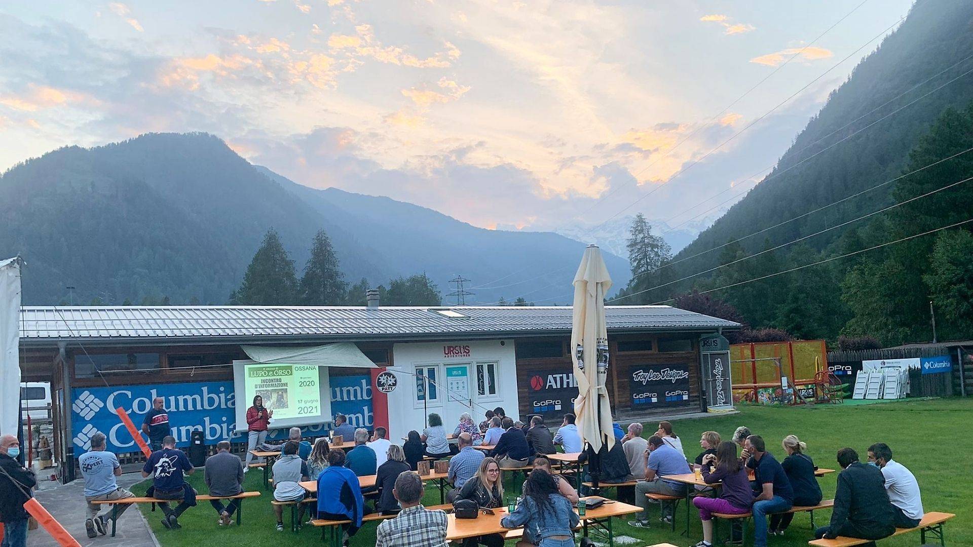 Uomo e grandi carnivori: un rapporto non sempre facile