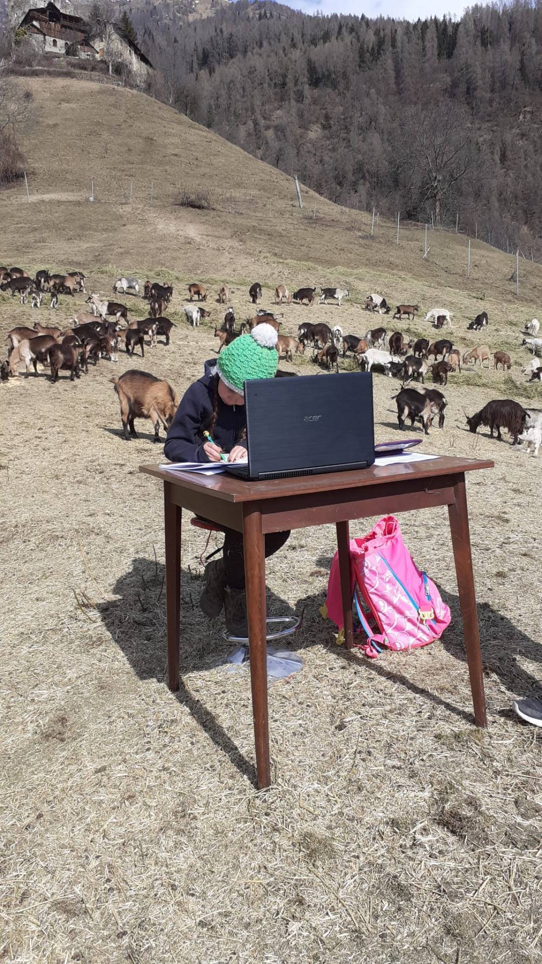 Dal pascolo a scuola, in un clic