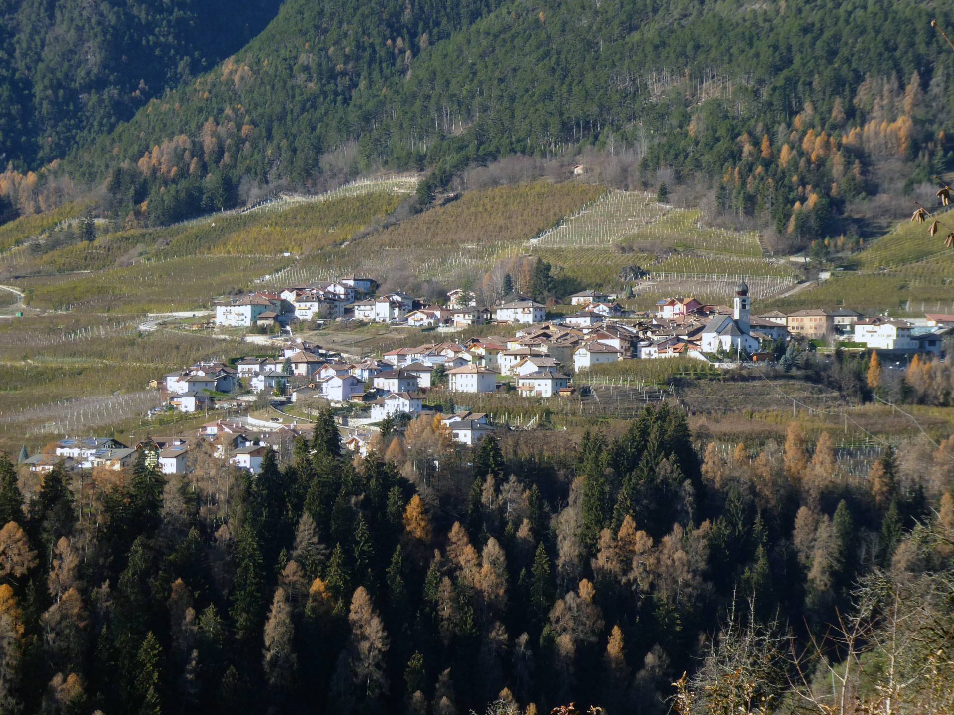 Cis si riqualifica (33)