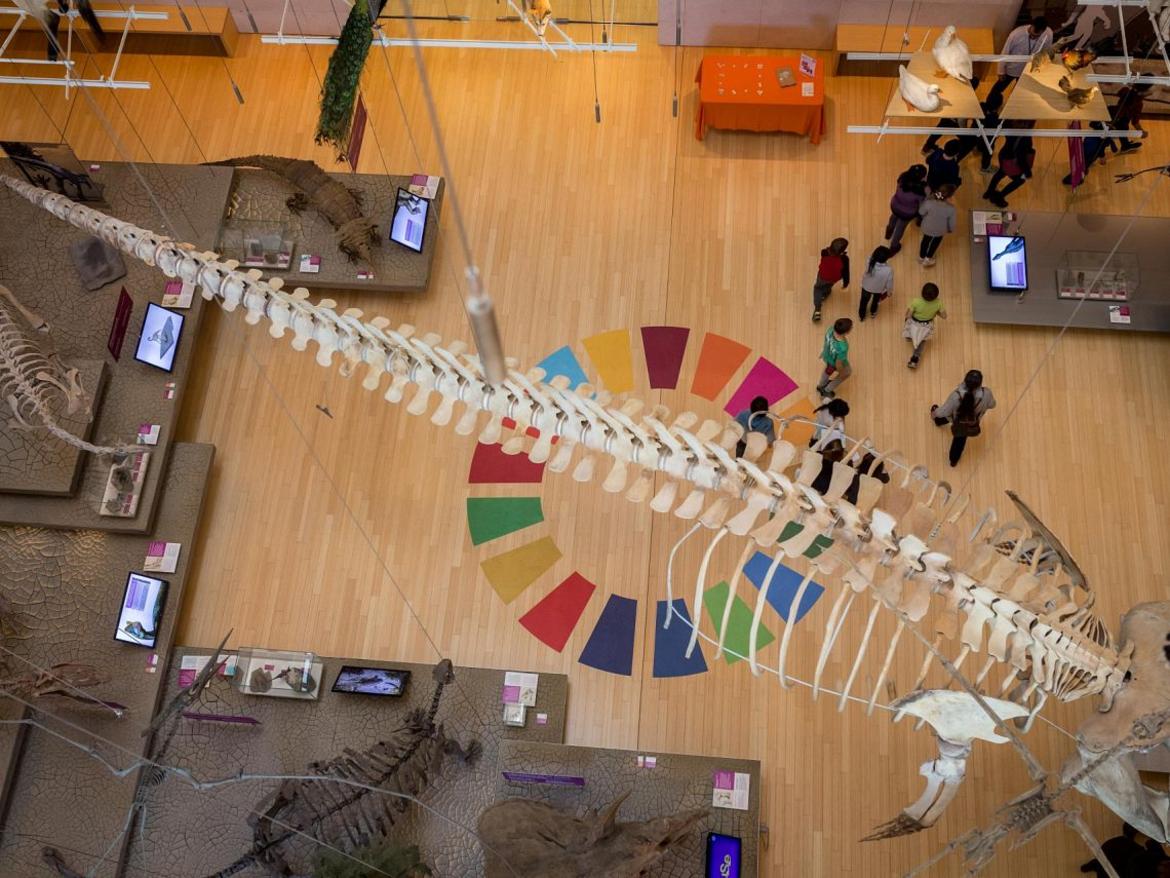 Sviluppo sostenibile: le strategie delle Province autonome in un convegno online