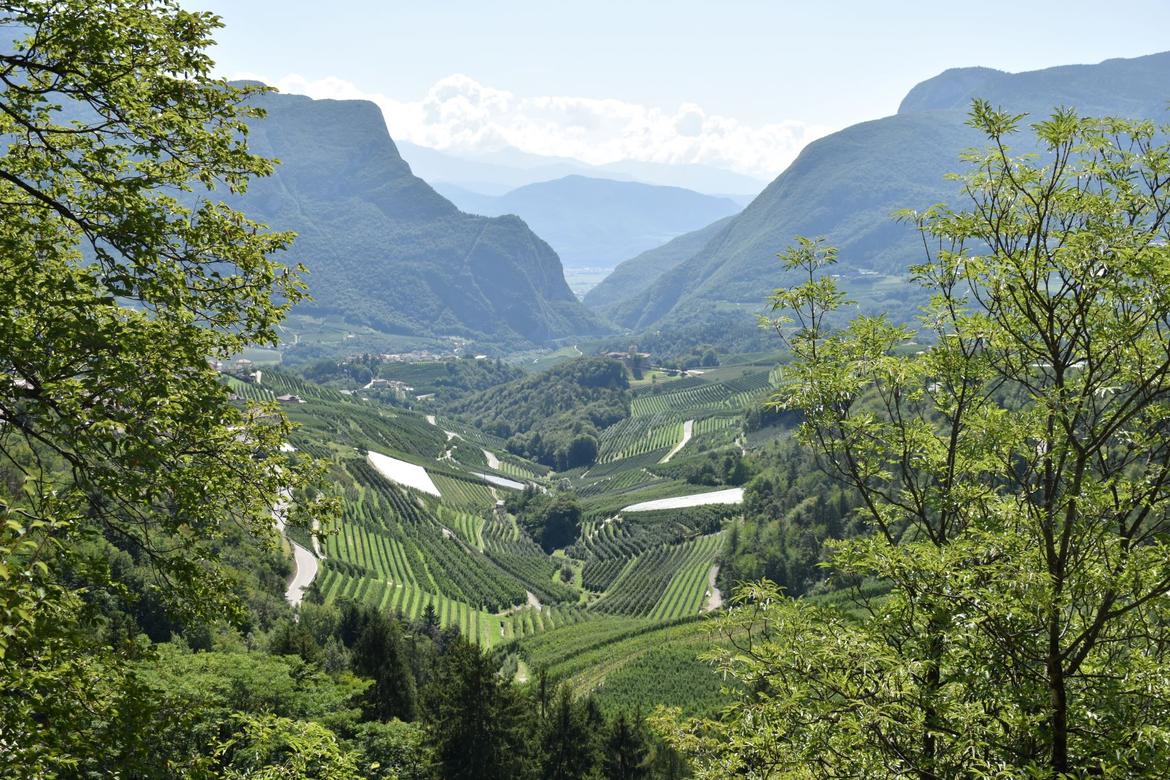 App Trentino Salute+: camminate con esperti del Parco e della Provincia per sperimentarla