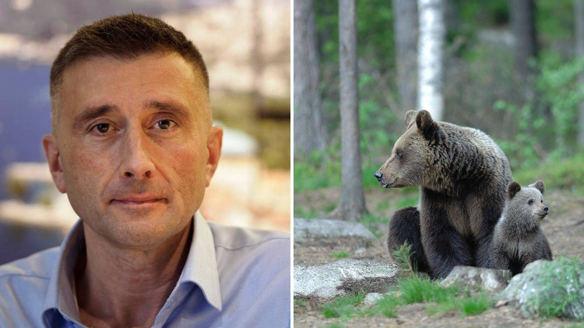 «Gli orsi vanno radiocollarati e controllati»