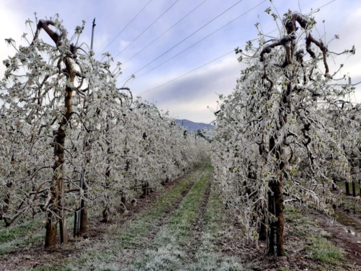 Un aprile freddo e con gelate