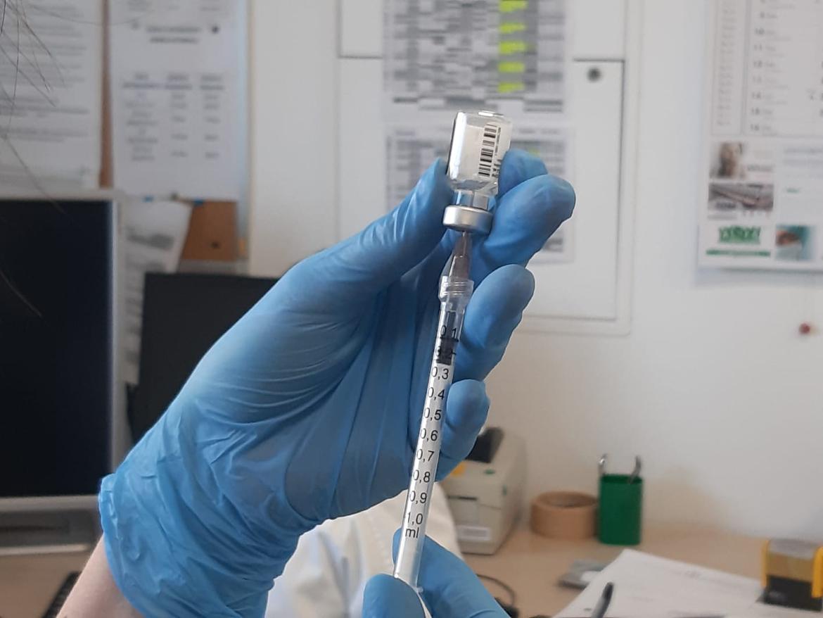 Covid19: 4 decessi, 324 nuovi casi