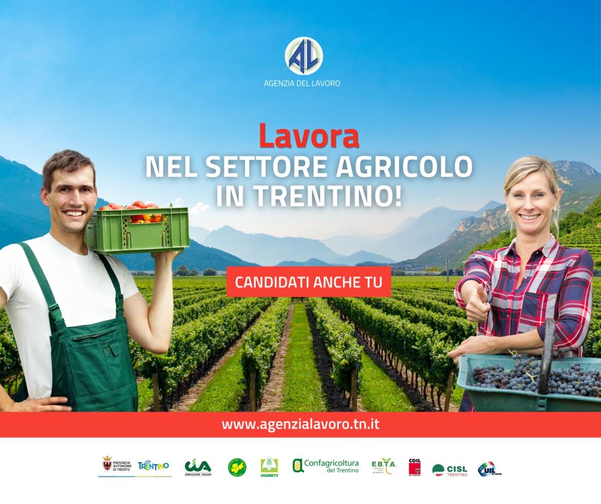 Un lavoro estivo nel settore agricolo