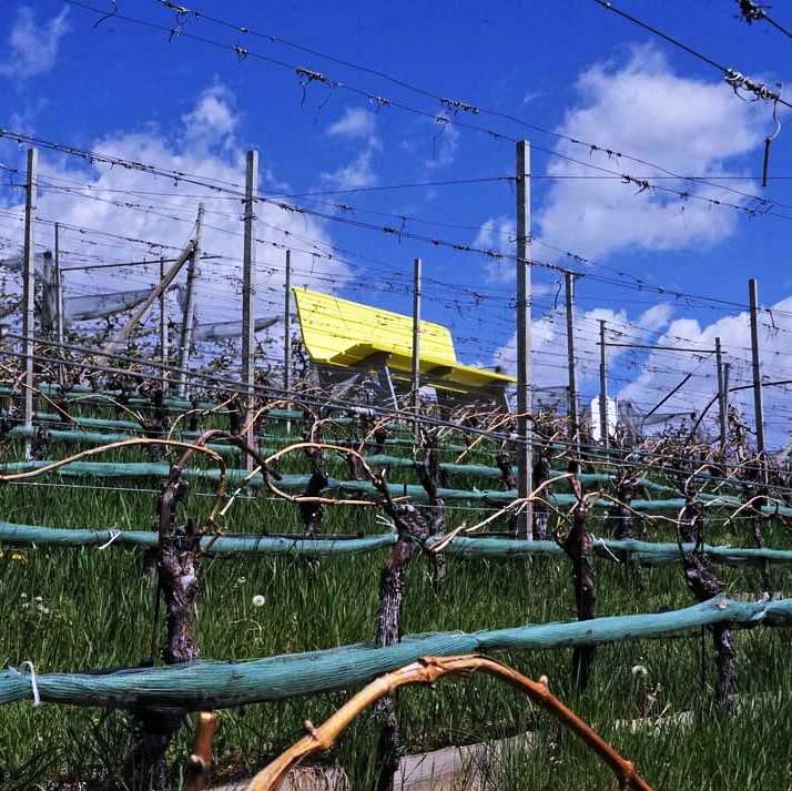 Panchina gigante... vista Val di Non