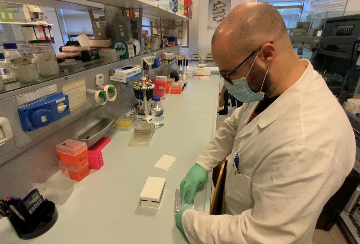 Covid-19, zero ricoveri e da 11 giorni non si contano vittime