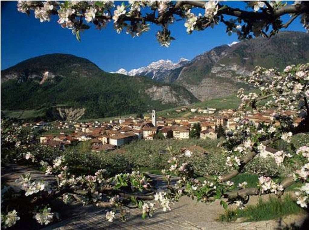 L"Asuc di Tuenno ha il suo primo presidente