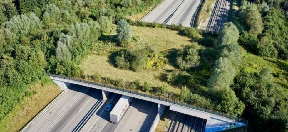 No della Provincia alla mozione per i corridoi faunistici