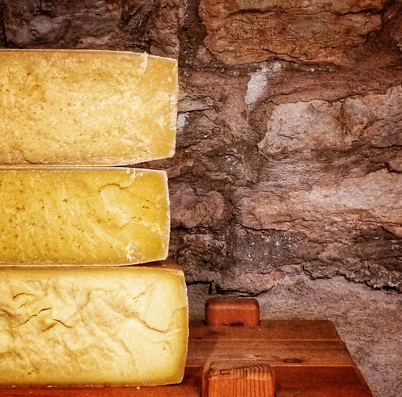 Zootecnia e distribuzione dei prodotti, via al tavolo di confronto