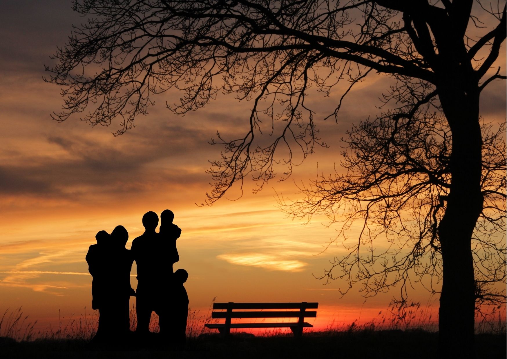 Un corso gratuito per diventare tutori volontari