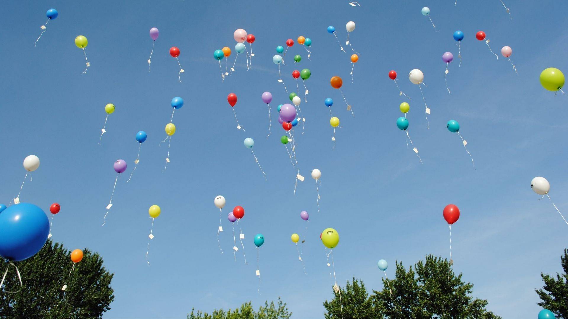 Stop al lancio di palloncini in aria per proteggere l"ambiente