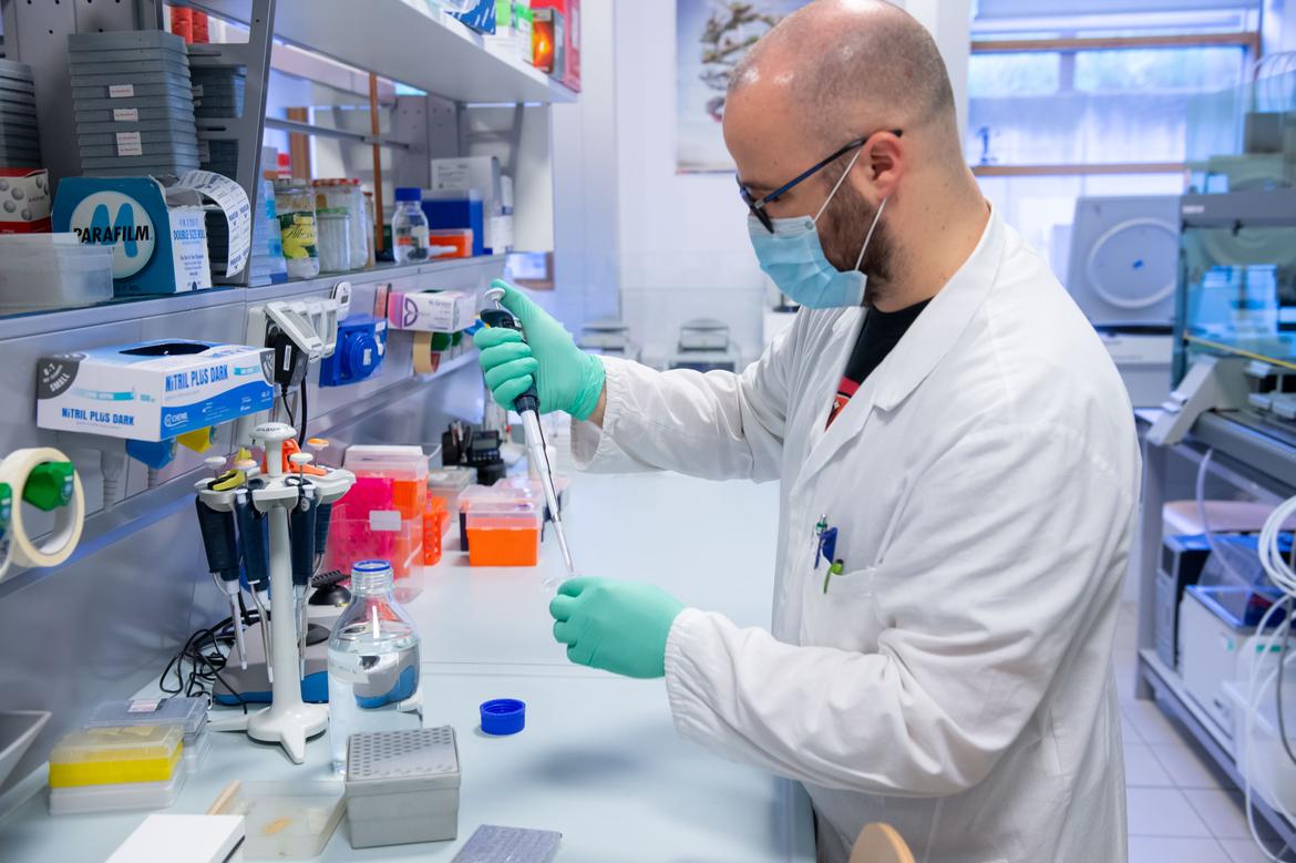 Zero decessi, 43 nuovi contagi, 237.889 vaccinazioni finora effettuate